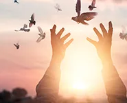 最新赛讯 - 咪咕视频体育